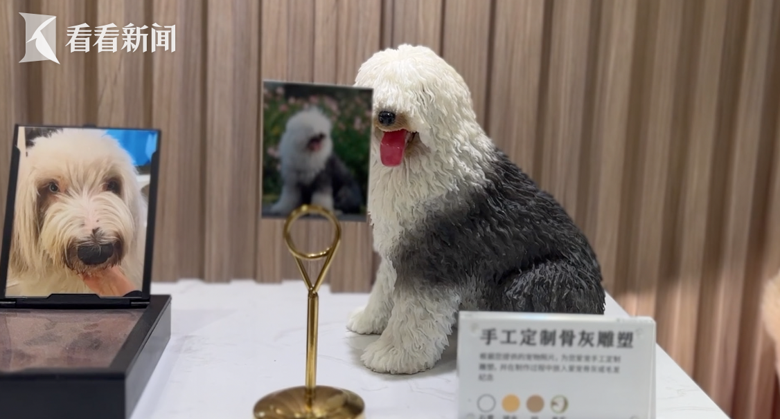 摆渡宠物服务
